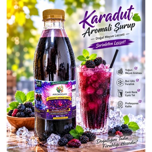 Karadut Buzlaş-slush 1e 5 konsantre şurup 1 lt ürün görseli